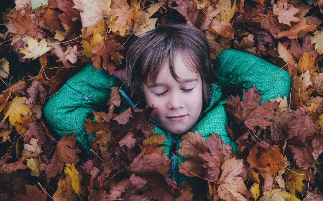 6 Fun Fall Festival Ideas for Schools