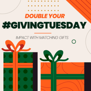 giving tuesday social media graphic example