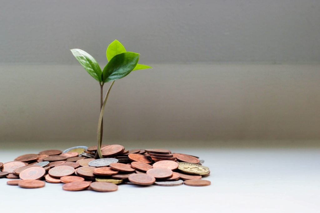 plant growing money