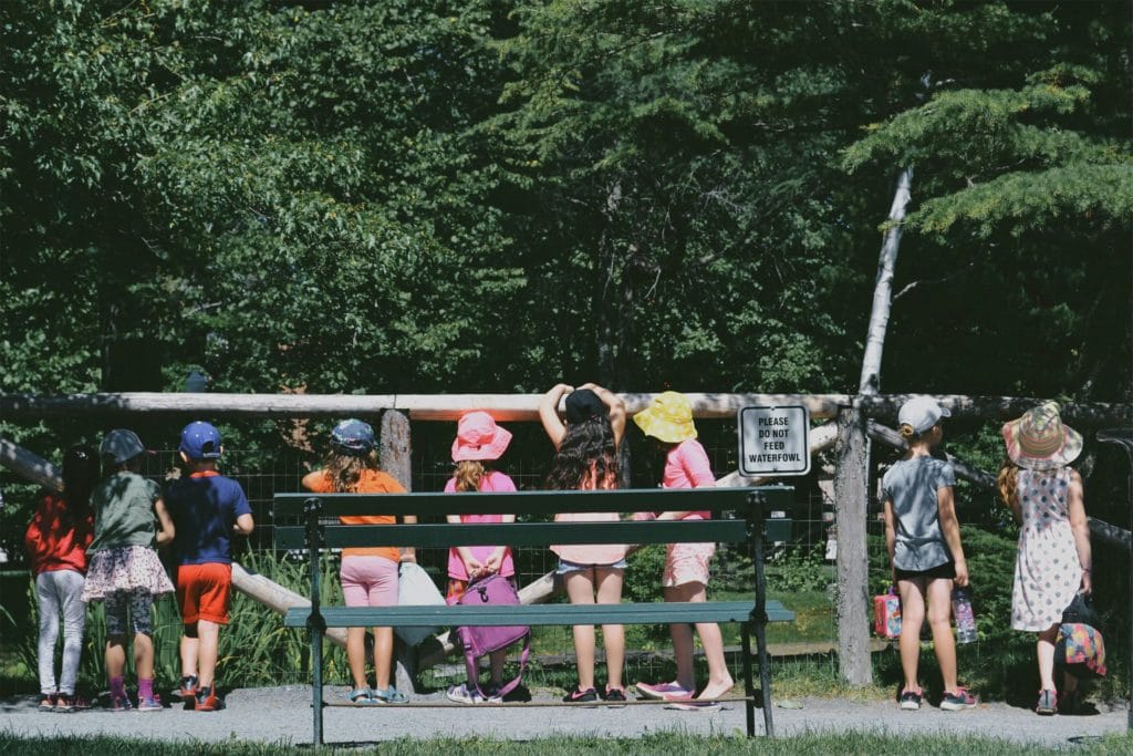 schoolchildren on a field trip