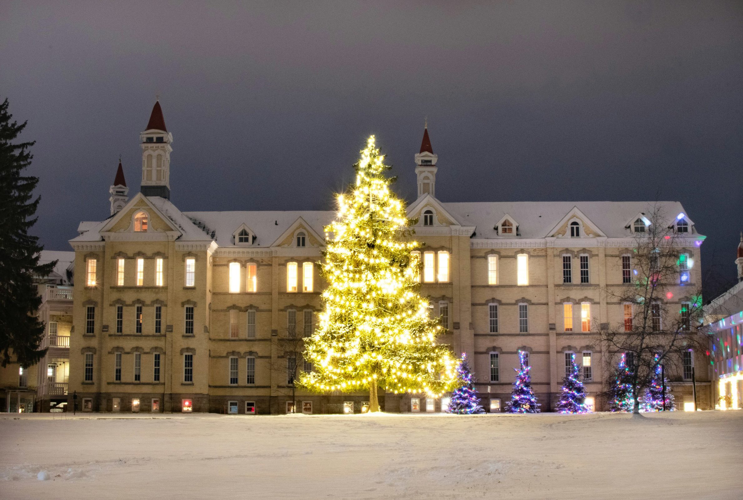 outdoor Christmas tree