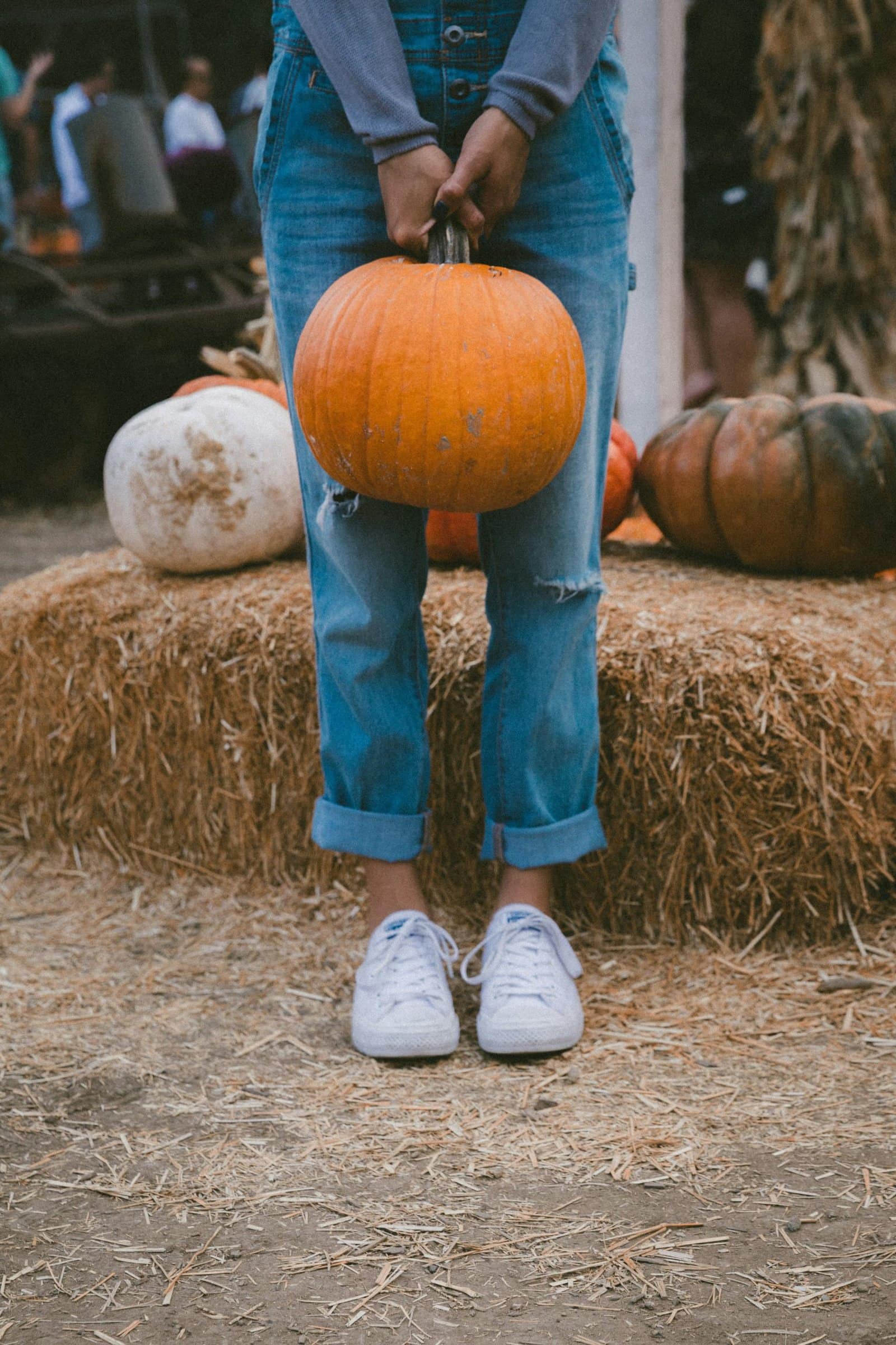 kid holding pumpkin