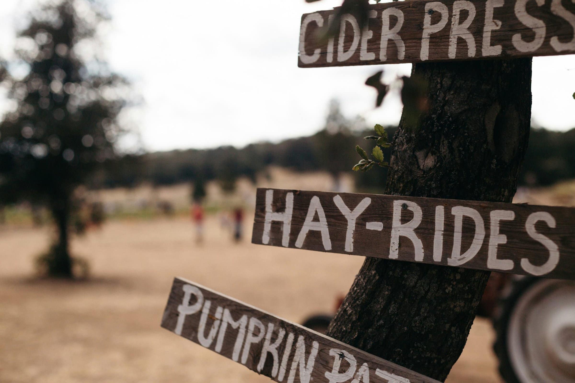 farm sign for hay rides, cider, and pumpkin patch